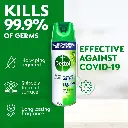 Dettol All in One Disinfectant Spray, Morning Dew Sharjha.webp