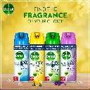 DETTOL DISINFECTANT.webp