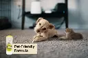 41r70JcnQBL._AC_.webp