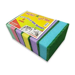 SPONGE WITH SCOURER
