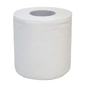 TOILET ROLL EMBOSS 2PLY ECOLINE 200 SHEETS (10 ROLLS X 10 PKTS)