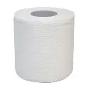 TOILET ROLL EMBOSS 2PLY ECOLINE 200 SHEETS (10 ROLLS X 10 PKTS)