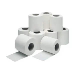 TOILET ROLL EDGE EMBOSS 2PLY 100/CASE