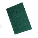 SCOURING PAD HEAVY DUTY 14 X 20 CMS (GREEN)