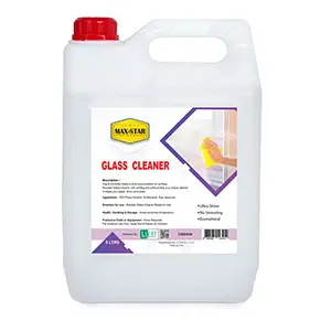 [C000406] GLASS CLEANER 5 LTR MAX-STAR